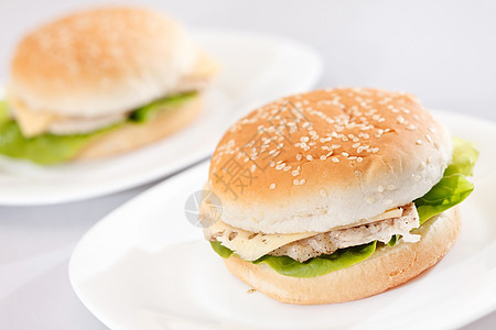 鸡肉三明治包子食物芝麻小吃洋葱派对面包盘子图片