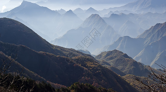 中国湖北盛农家山的美丽秋天风景旅行树叶黄色森林叶子场景金子红色绿色花园图片