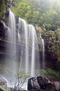 中国四川四川竹波海竹布森林景观中国四川旅游竹子生态地貌绿色图片