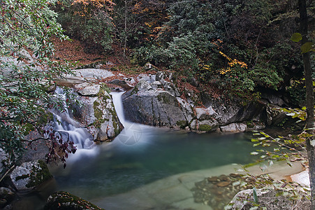 溪流  一个小瀑布白色岩石叶子红色绿色风景苔藓图片