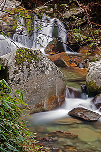 溪流  一个小瀑布苔藓风景白色岩石绿色叶子红色图片