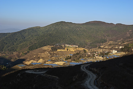 中国元阳帝的美丽风景树木旅游金光林业山脉农业图片