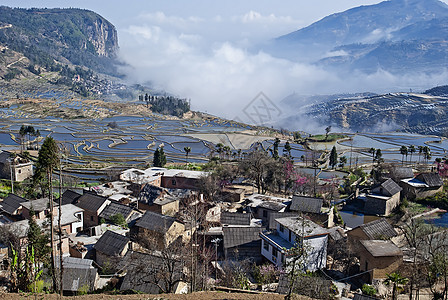 中国元阳帝的美丽风景旅游林业山脉农业金光树木图片