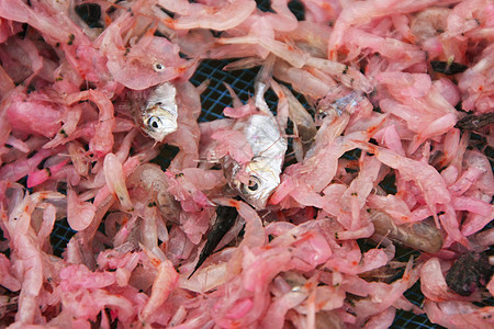 在Ca Ream国家公园 当地村里带干虾的表森林食物海鲜海岸国家烘干频道旅行码头红树图片