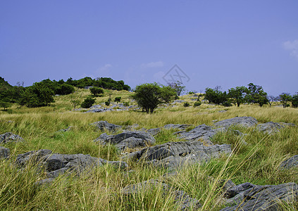 绿色农村地区城市场景季节天气地平线草地蓝色土地场地农场图片