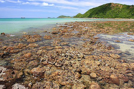 岛屿附近浅浅处生长的低潮水珊瑚是图片