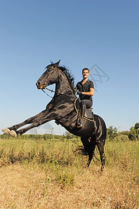 养马动物盛装骑马男人运动黑色马术舞步危险天空图片