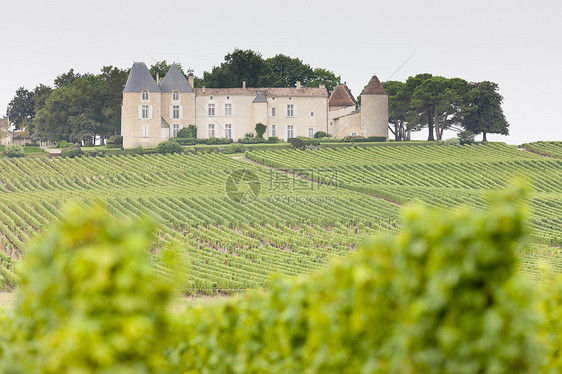 法国济儿区 Yquem和Shateau dYqum葡萄园建筑学景点栽培植物农村外观藤蔓植被农业地区图片