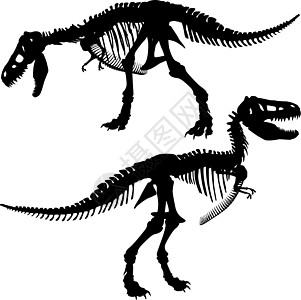 Trex 骨架高清图片