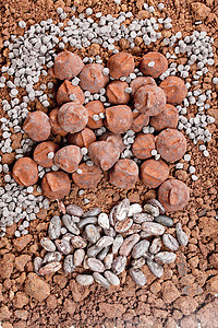 可可可可中的巧克力松露和可可豆种子营养食物可可糖果甜点诱惑棕色静物图片