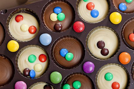 巧克力与小聪明的余生棕色巧克力盒诱惑静物糖果营养聪明人食物甜点白色图片