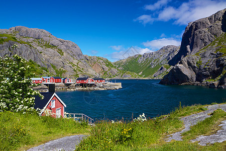 Nusfjord村小屋码头红色晴天山脉港口全景钓鱼胜地风景图片