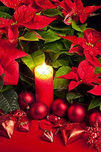 圣诞节依然与波因塞蒂亚同在花朵静物传统内饰符号红色蜡烛图片