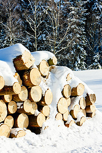 雪雪覆盖的圆木木头外观日志图片
