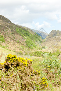 苏格兰高地格伦希尔位置植物群风景世界山脉旅行外观植被图片