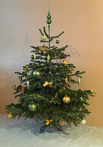 圣诞树节日活动宴席庆典装饰点缀插图庆祝传统树木背景图片