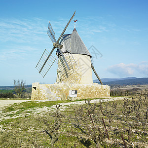 法国风车葡萄外观葡萄园建筑学旅行栽培世界位置图片