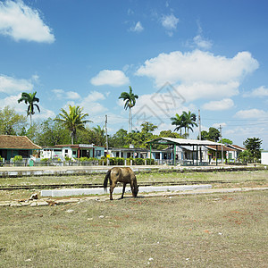 古巴瓜雷伊拉斯古巴瓜亚里拉火车站图片