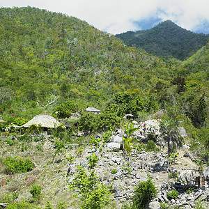 古巴格拉马省 梅斯特拉山区国家议会位置热带风景植物群植被棚屋旅行小屋山脉世界图片