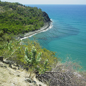 古巴格拉纳马省海岸线风景旅行支撑海岸植被世界外观岛屿植物学海景图片
