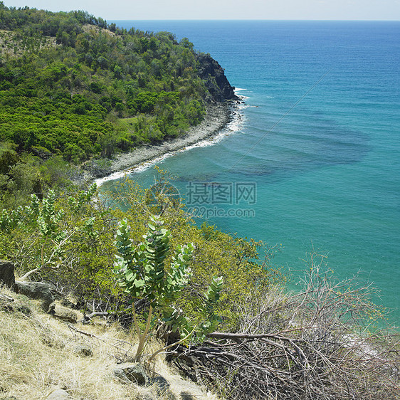 古巴格拉纳马省海岸线风景旅行支撑海岸植被世界外观岛屿植物学海景图片