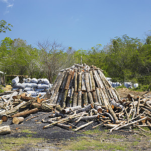 古巴比那尔德里奥省木炭堆煤炭木头日志木炭褐煤位置外观炭窑钢坯螺栓图片