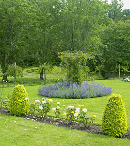 佛罗伦萨法院花园 北爱尔兰Fermanagh县旅行位置世界花园植物学花朵植被植物群园艺植物图片