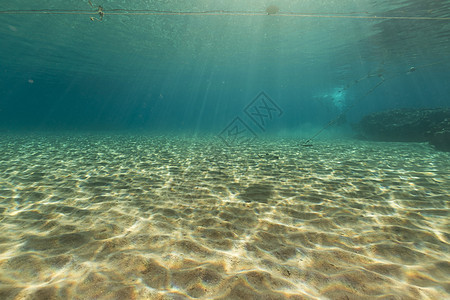红海热带水域太阳光盐水植物情调场景射线蓝色潜水海洋生活图片