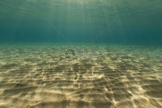 红海热带水域情调蓝色海景海洋太阳盐水珊瑚太阳光阳光场景图片