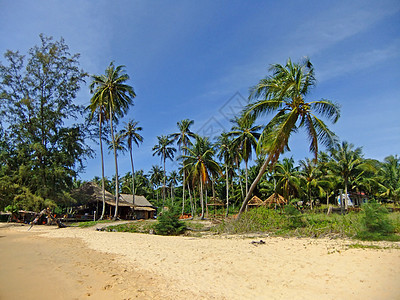 柬埔寨 泰国湾 Koh Russei岛的桑迪海滩平房热带海洋棕榈竹子海岸线天堂旅游支撑海岸图片