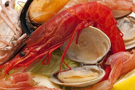 新鲜捕获的海鲜营养螃蟹警察熟食市场用餐商业美食食物动物图片