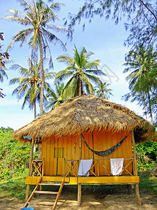 热带岛屿上的伍德宾馆海岸棕榈海洋竹子树木海岸线旅游天堂钓鱼平房图片
