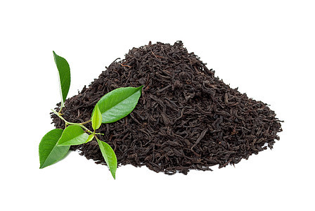 含叶叶的黑茶单宁享受水果叶子草本白毫黑色绿色草本植物药品图片