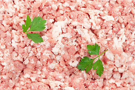 猪粉薄荷红色倾斜美食宏观绿色地面营养香菜草药羊肉图片