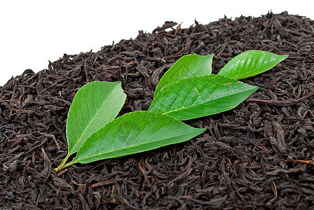 含叶叶的黑茶草本植物文化健康白毫叶子药品水果绿色白色黑色图片