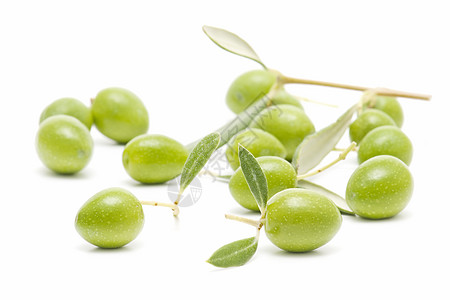 橄榄背景营养饮食水果绿色橄榄枝树叶食物商业白色图片
