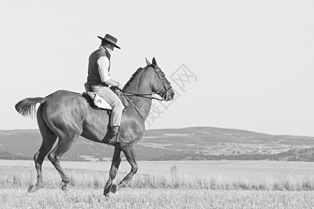 骑马者和他的马野马黑色尾巴哺乳动物男性骑师马匹白色舞步背景