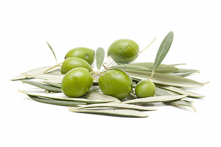 橄榄营养食物树叶背景商业饮食橄榄枝白色水果农业图片