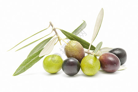 橄榄白色绿色食物饮食营养水果树叶橄榄枝商业农业图片