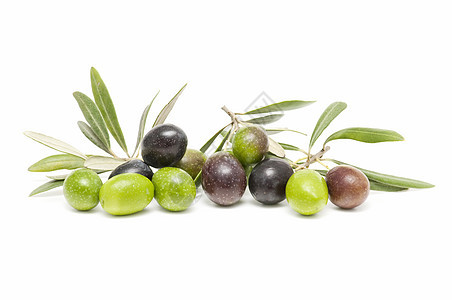 橄榄农业背景饮食商业树叶橄榄枝食物营养白色图片