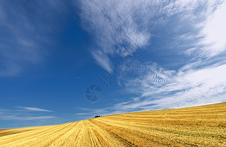 风景收成裁剪县城蓝色天空爬坡小麦乡村多云黄色背景图片