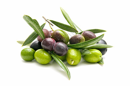 橄榄橄榄枝饮食白色树叶农业绿色水果营养食物商业图片