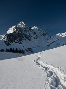 美丽的山射线顶峰远景旅游滑雪蓝色首脑旅行晴天假期图片