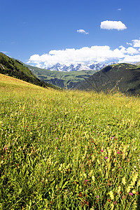 萨伏伊阿尔卑斯山欧洲冰坡高度草地顶峰公园冰川地平线跌倒国家首脑图片