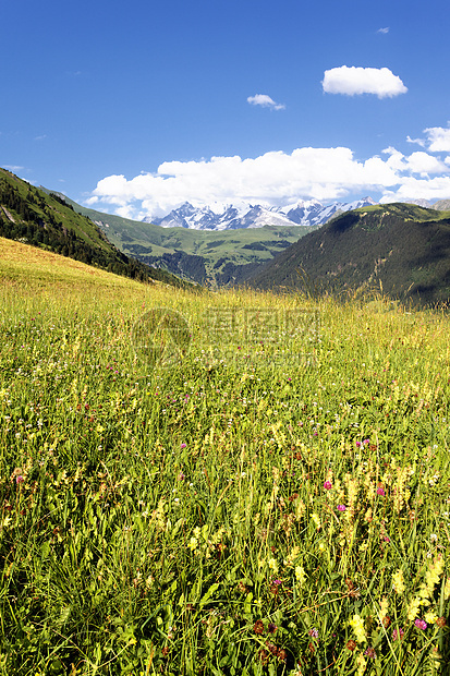 萨伏伊阿尔卑斯山欧洲冰坡高度草地顶峰公园冰川地平线跌倒国家首脑图片