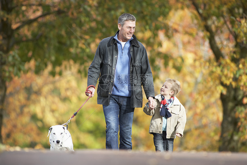 带着年青儿子走狗的男子通过秋季公园男性中年男人小路水平孩子宠物图片