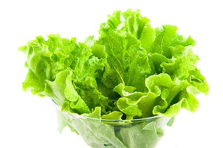 新鲜生菜叶子绿色食物莴苣营养水平白色黄油长叶蔬菜图片