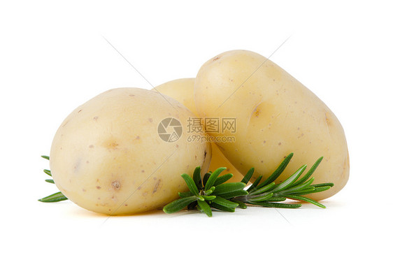 新土豆和绿色草药香菜植物淀粉收成块茎烹饪团体小吃饮食糖类图片