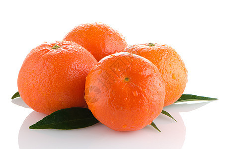 柠檬或普通话宏观水果工作室茶点甜点团体热带橙子叶子小吃图片