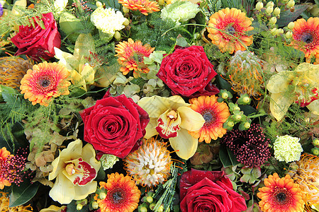花朵安排中的玫瑰和兰花植物群植物学花店花束橙子绿色红色花瓣植物图片